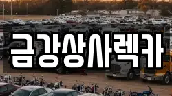 금강상사렉카