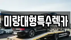 미량대형특수렉카
