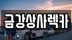 서울특별시 성동구 송정동 렉카, 특수렉카, 차량탁송, 견인운송