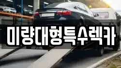 미량대형특수렉카