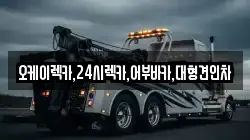 서울특별시 성동구 옥수동 렉카, 특수렉카, 차량탁송, 견인운송