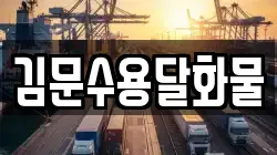 김문수용달화물