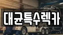 대균특수렉카