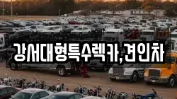 강서대형특수렉카,견인차