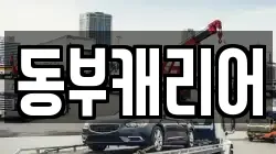 동부캐리어