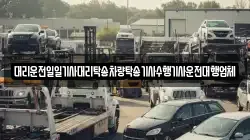 대리운전일일기사대리탁송차량탁송기사수행기사운전대행업체