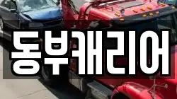 동부캐리어