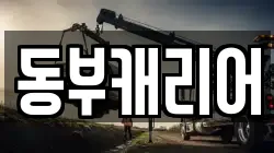 동부캐리어