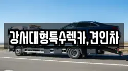 강서대형특수렉카,견인차