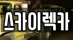 스카이렉카