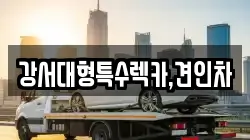 강서대형특수렉카,견인차