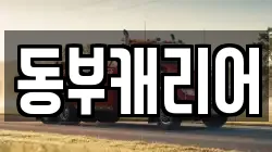 동부캐리어
