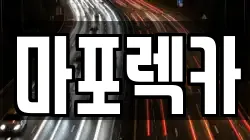 마포렉카