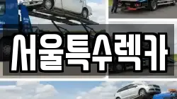 서울특수렉카