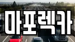 마포렉카