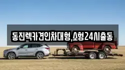 서울특별시 영등포구 여의도동 렉카, 특수렉카, 차량탁송, 견인운송