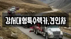 강서대형특수렉카,견인차