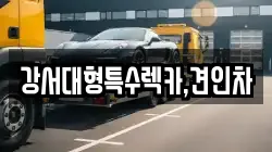 강서대형특수렉카,견인차