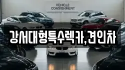 강서대형특수렉카,견인차
