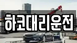하코대리운전