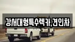 강서대형특수렉카,견인차