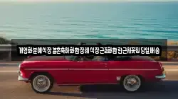 개업화분예식장결혼축하화환장례식장근조화환란근처꽃집당일배송
