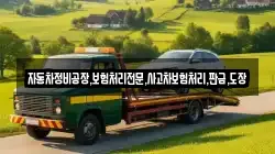 자동차정비공장,보험처리전문,사고차보험처리,판금,도장