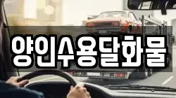 양인수용달화물