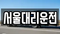 서울대리운전
