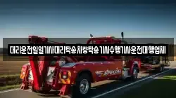 대리운전일일기사대리탁송차량탁송기사수행기사운전대행업체