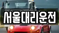 서울대리운전