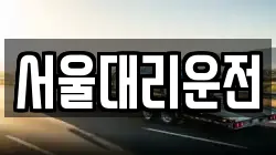 서울대리운전