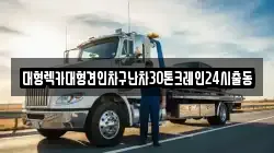 서울특별시 종로구 이화동 렉카, 특수렉카, 차량탁송, 견인운송