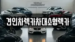 견인차렉카차대소형렉카