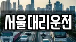 서울대리운전