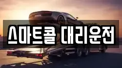 스마트콜 대리운전