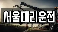 서울대리운전