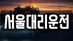 서울대리운전