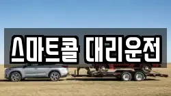 스마트콜 대리운전