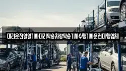 대리운전일일기사대리탁송차량탁송기사수행기사운전대행업체