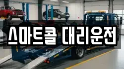스마트콜 대리운전