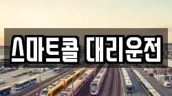 스마트콜 대리운전