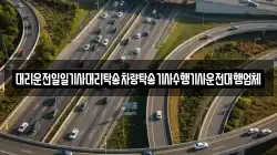 대리운전일일기사대리탁송차량탁송기사수행기사운전대행업체