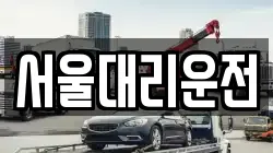 서울대리운전