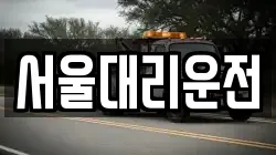 서울대리운전