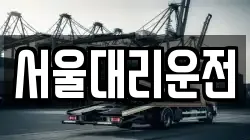 서울대리운전