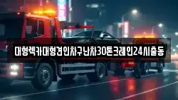 서울특별시 중구 입정동 렉카, 특수렉카, 차량탁송, 견인운송