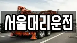 서울대리운전