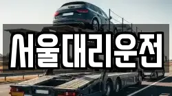 서울대리운전