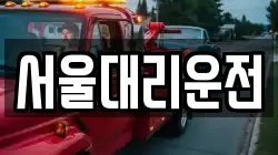 서울대리운전